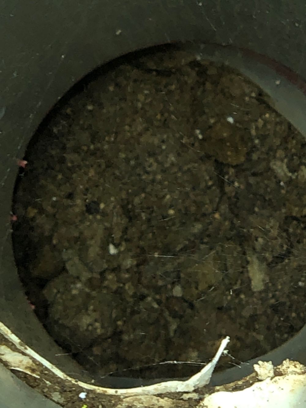 Stormwater pipe found broken and blocked with debris, needing a camera check, found during a fixing inspection in Werribee